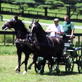 Untamed and Uncut : Horse Kicks Rider's Face