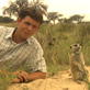 Meerkat Manor: Emotional Attachment