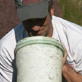 Dirty Jobs: 