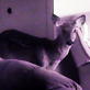 Untamed and Uncut: Deer Jumps Through Glass