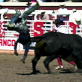 Untamed and Uncut : Rodeo Bullrider Launch