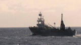 Whale Wars Videos
