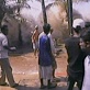 The Science of Tsunamis: Tsunami Survivor