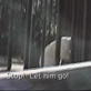 Untamed and Uncut: Polar Bear Attack