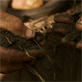 Ecopolis: Super Soil