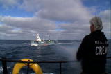 Whale Wars: Warning Shots Fired