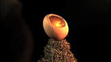 Time Warp: Sword-Sliced Egg