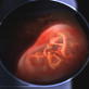 Ultimate Guide to Pregnancy: Month Seven