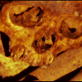 Bone Detectives: Mayan Cemetery