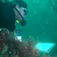 Archaeo: Divers Plumb Depths for U-Boats