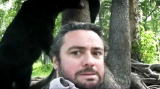 Stranger Among Bears: Bear Cub Lashes Out