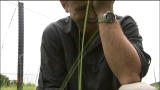 Escape to Chimp Eden: The World's Largest Grasshopper