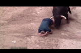 play video on Discovery Channel