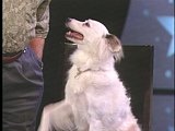 play video on Discovery Channel