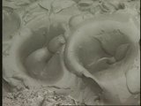 Understanding Volcanoes: Active Volcanoes Stink