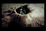 Ten Ways: Doomsday Asteroid