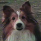 play video on Discovery Channel