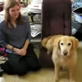 Bissell Pet Games Week 4: Ruby Getting Dressed