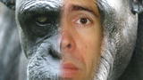 Earth: Are Humanzees Possible?