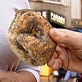 Body Invaders: Weight Control: Fast Foods