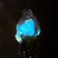 Planet Earth :Caves