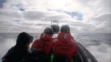 Whale Wars: Charging the Japanese Head On