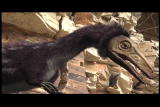 Mammals Vs. Dinos: Sinosauropteryx Discovery