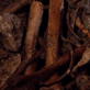 Bone Detectives: Moving Bones