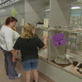Animal Cops: Houston: Adoption Lobby