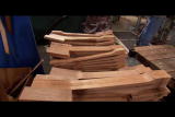 Some Assembly Required Shorts: Guitar Neck