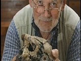 100 Greatest Discoveries: Toumai Skull