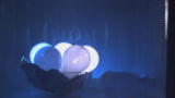 Time Warp: Light Bulbs in Microwave