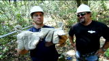 Dirty Jobs: Mine Plugging