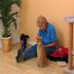 Petfinder: Introducing Cats
