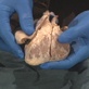 Strictly Dr. Drew: Killers
