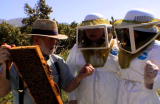 G-Word Online Clips: Keep It Green Bees