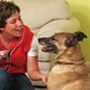 Petfinder: Trainer Secrets