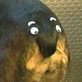 Planet's Funniest Animals: Mr. Smiley Buttface
