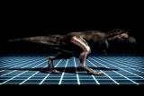 Dinosaur Planet: T-Rex Hunting Movements and Styles