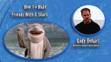 Shark Week 101: How To Make Friends With A Shark