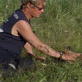 The Grizzly Man Diaries: The Horrors of Fox Cruelty