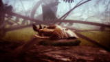 Animal Armageddon: Bothriopelis