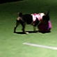 Bissell Pet Games Week 5: Veneno at Play