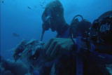 Paradise for Predators : Sharks of Palau: Baiting Sharks