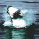 play video on Discovery Channel