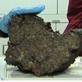 Space: Quick-Rusting Meteorites