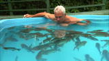 River Monsters: Swimming in a Piranha Pool