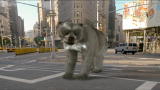 Prehistoric New York: Giant Short-faced Bear
