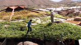 World's Greenest Homes: Living Roof and Waterfall A/C