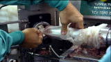 Dirty Jobs: Sweet-Meat Stuffing